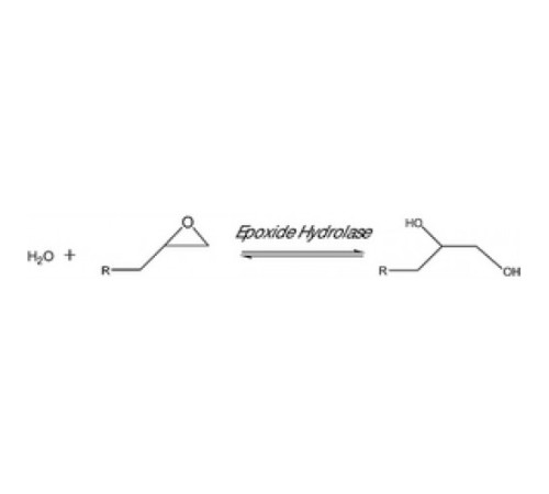 Эпоксидгидролаза из Rhodococcus rhodochrouslyophilized порошок, бежевый, 0,5 мкЕд / г Sigma 45299 Эпоксидгидролаза из Rhodococcus rhodochrouslyophilized порошок, бежевый, 0,5 мкЕд / г Sigma 45299