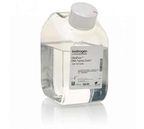 Буфер TAE (Трис-ацетат-ЭДТА), DNA Typing Grade, 50Х, UltraPure, Thermo FS Буфер TAE (Трис-ацетат-ЭДТА), DNA Typing Grade, 50Х, UltraPure, Thermo FS
