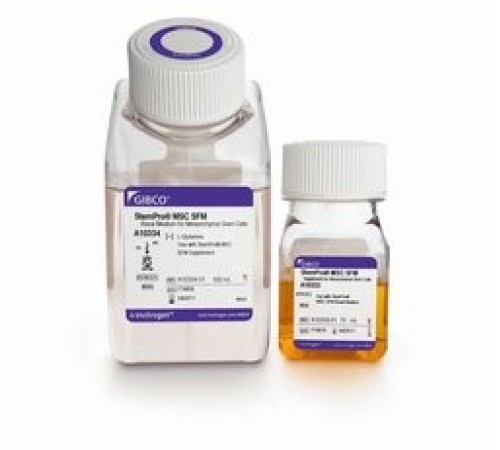 Среда StemPro-MSC бессывороточная для мезенхимальных стволовых клеток, Thermo FS Среда StemPro-MSC бессывороточная для мезенхимальных стволовых клеток, Thermo FS