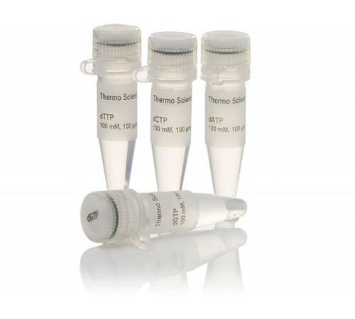 Набор dNTP Set, 100 mM Solutions, Thermo FS Набор dNTP Set, 100 mM Solutions, Thermo FS