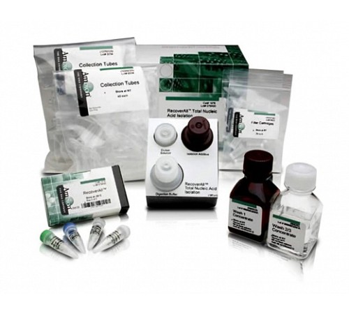 Набор RecoverAll Total Nucleic Acid Isolation Kit for FFPE, Thermo FS Набор RecoverAll Total Nucleic Acid Isolation Kit for FFPE, Thermo FS