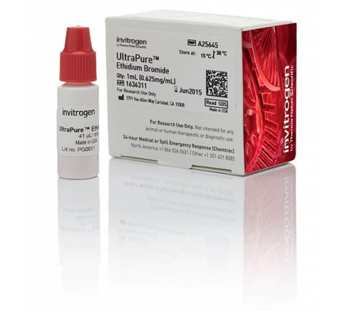 Краситель Ethidium Bromide, 0,625 mg/mL, UltraPure, Thermo FS Краситель Ethidium Bromide, 0,625 mg/mL, UltraPure, Thermo FS