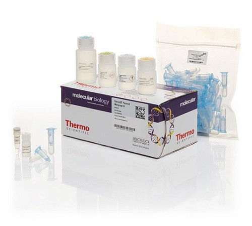 Набор GeneJET Plasmid Miniprep для выделения плазмидной ДНК из бактерий, Thermo FS Набор GeneJET Plasmid Miniprep для выделения плазмидной ДНК из бактерий, Thermo FS
