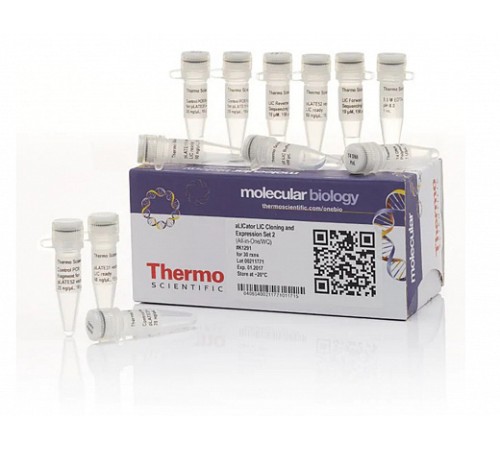 Набор для безлигазного клонирования aLICator LIC Cloning and Expression Set 2, Thermo FS Набор для безлигазного клонирования aLICator LIC Cloning and Expression Set 2, Thermo FS
