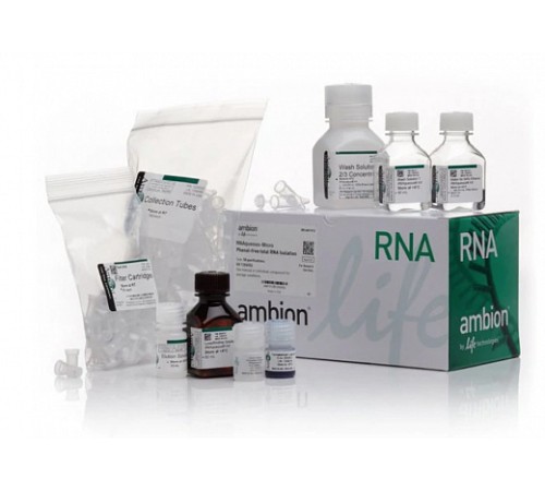 Набор RNAqueous-Micro Total RNA Isolation Kit, Thermo FS Набор RNAqueous-Micro Total RNA Isolation Kit, Thermo FS