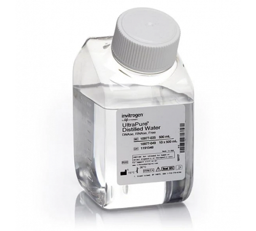Вода UltraPure DNase/RNase-Free Distilled Water, Thermo FS Вода UltraPure DNase/RNase-Free Distilled Water, Thermo FS