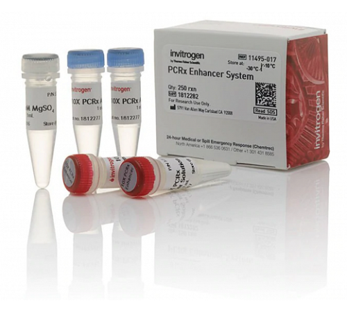 Набор PCRx Enhancer System, Thermo FS Набор PCRx Enhancer System, Thermo FS