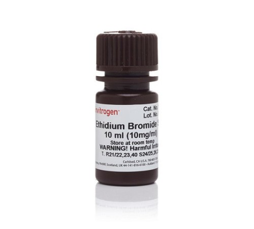 Краситель Ethidium Bromide, UltraPure, Thermo FS Краситель Ethidium Bromide, UltraPure, Thermo FS