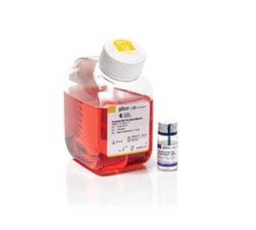 Среда Essential 8 Flex Kit, для бесфидерного культивирования стволовых клеток, Thermo FS Среда Essential 8 Flex Kit, для бесфидерного культивирования стволовых клеток, Thermo FS