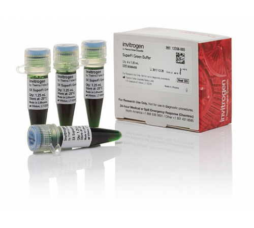 Буфер SuperFi Green, Thermo FS Буфер SuperFi Green, Thermo FS