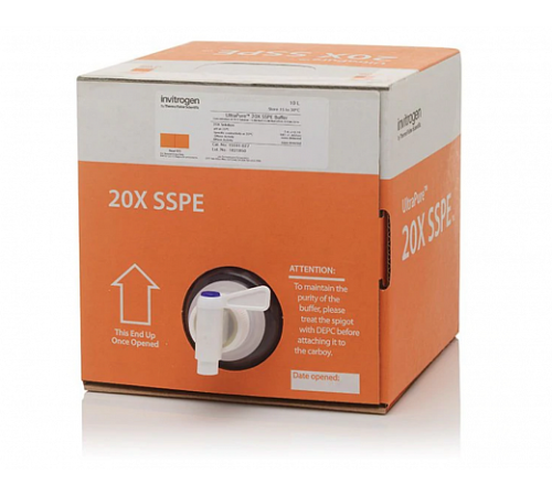 Буфер SSPE (Sodium Chloride-Sodium Phosphate-EDTA), 20X, UltraPure, Thermo FS Буфер SSPE (Sodium Chloride-Sodium Phosphate-EDTA), 20X, UltraPure, Thermo FS