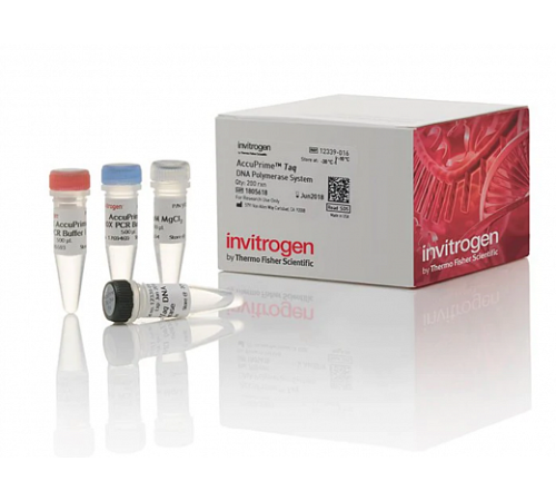 Набор AccuPrime Taq DNA Polymerase System, Thermo FS Набор AccuPrime Taq DNA Polymerase System, Thermo FS